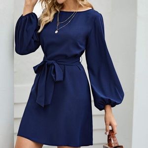 Blue long lantern sleeve  belted dress